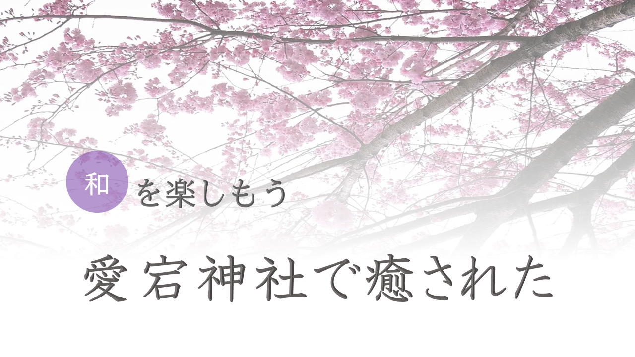 和を楽しもう<br>愛宕神社で癒された